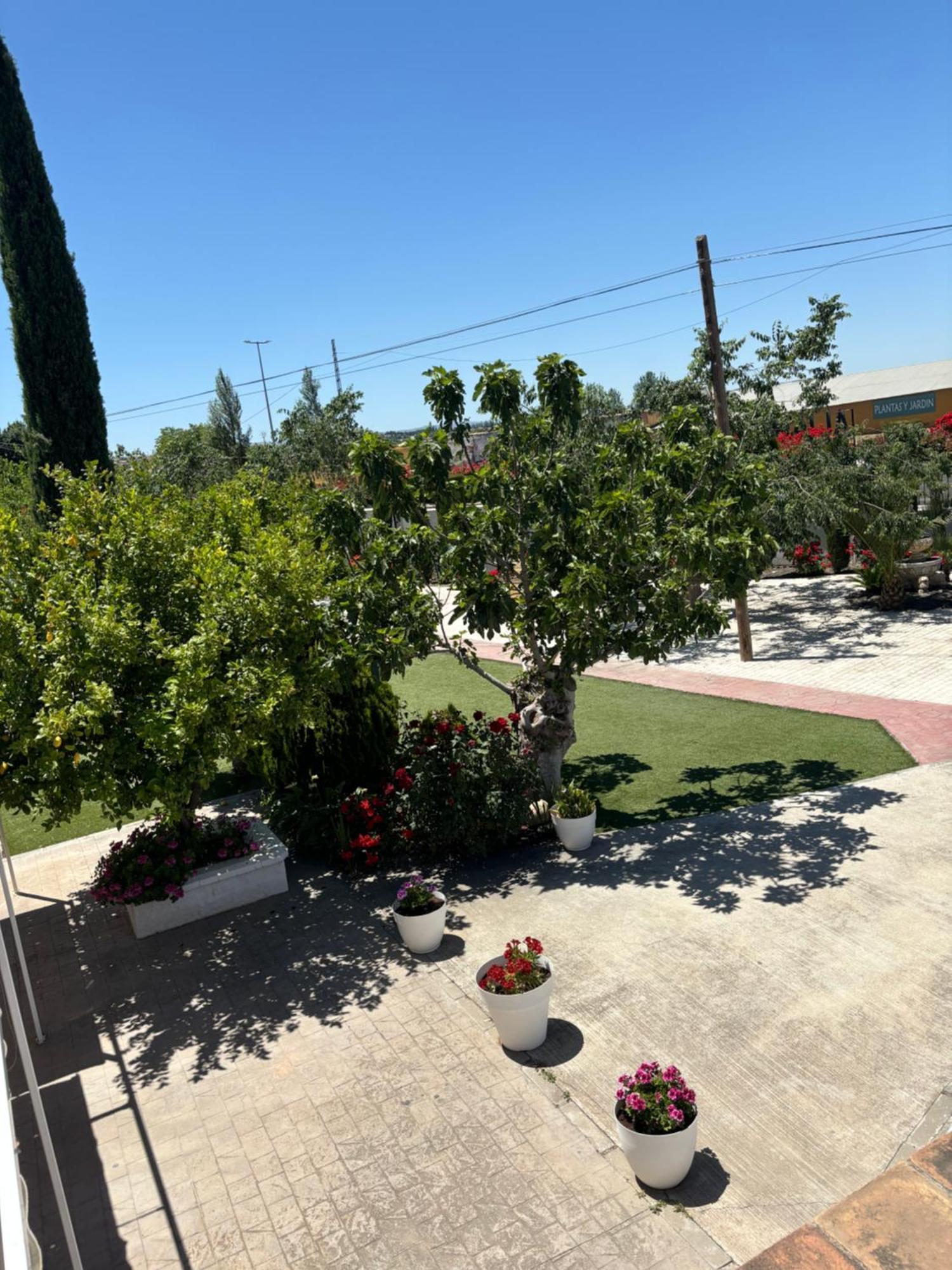 Finca Mi Alma Ogijares Ngoại thất bức ảnh